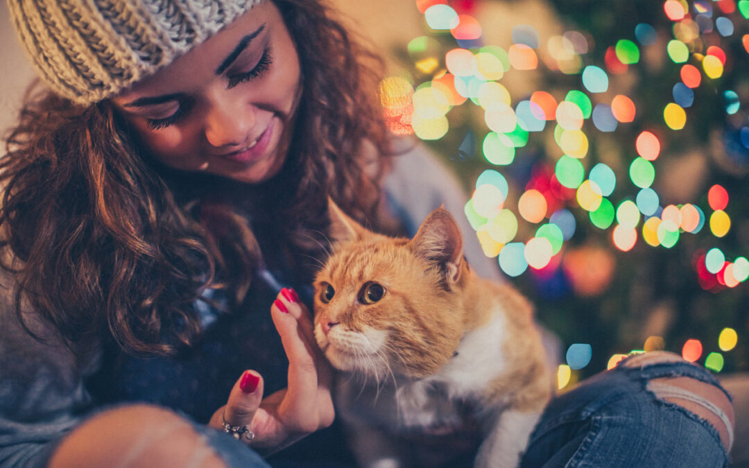 Bonus Holiday Gift Guide for Cat Lovers