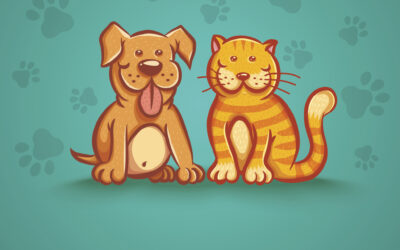 Do You Have a Fat Fido or Feline?